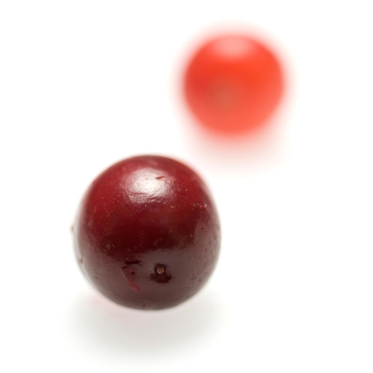 Anthocran<sup>®</sup> into action