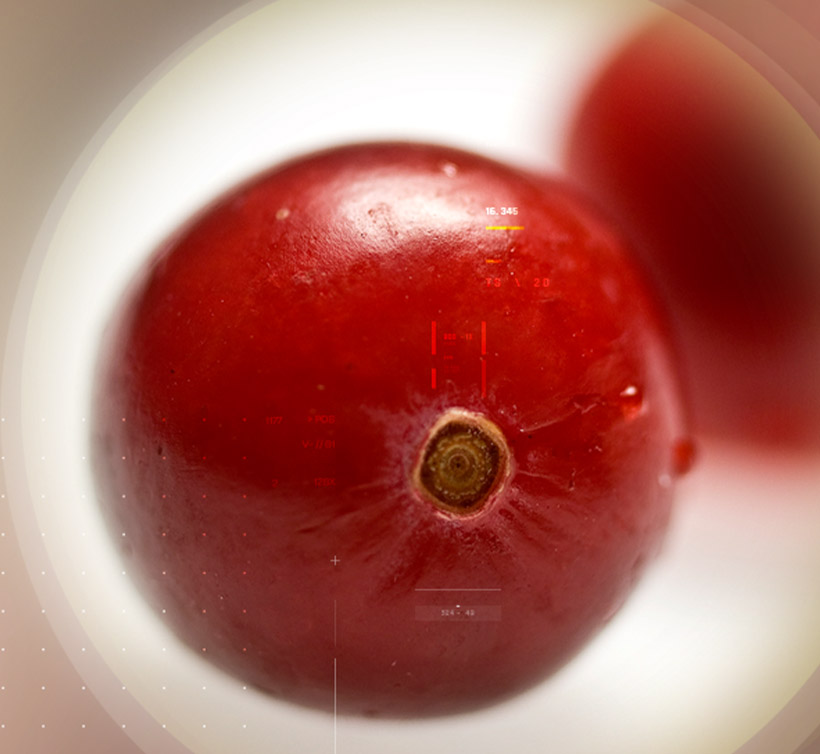 Anthocran<sup>®</sup>