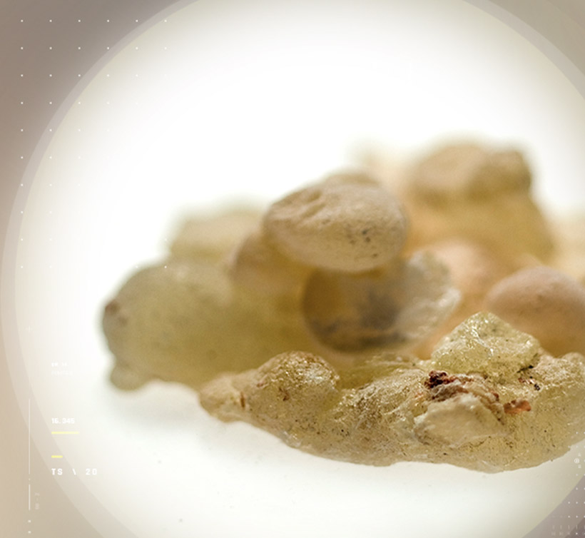 Casperome<sup>®</sup>