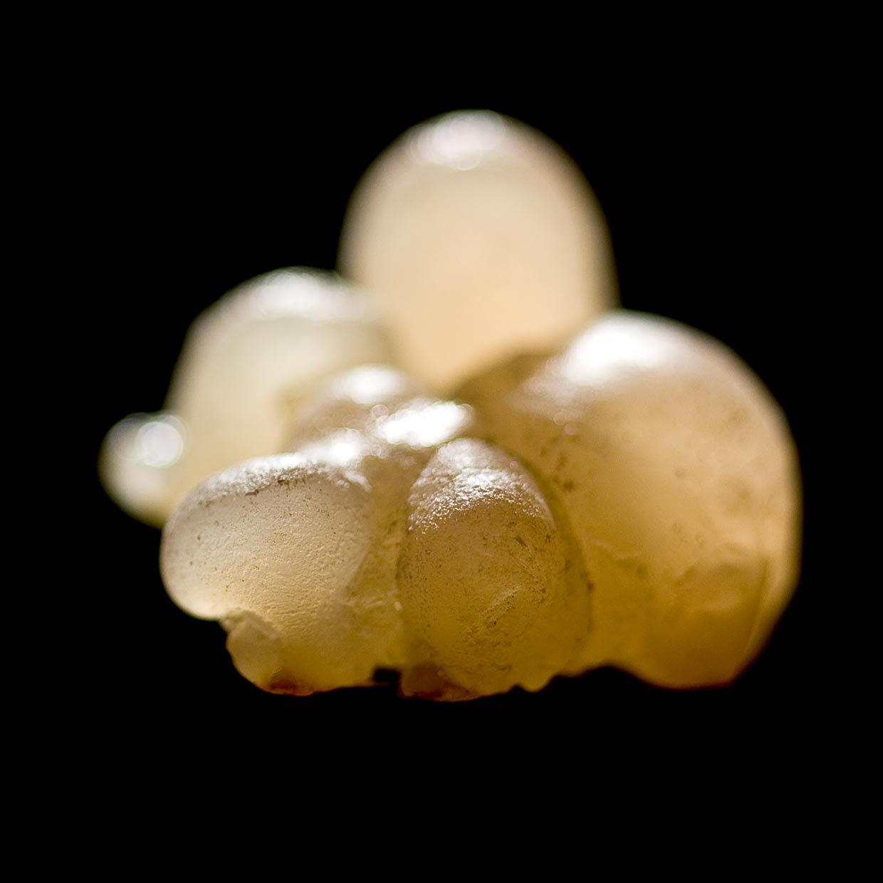 Casperome<sup>®</sup> into action