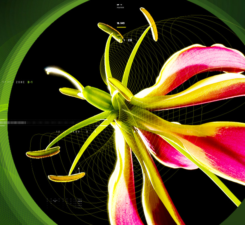 Colchicine Micronized