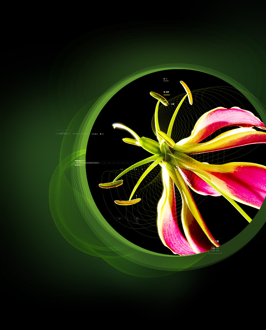 Colchicine Micronized