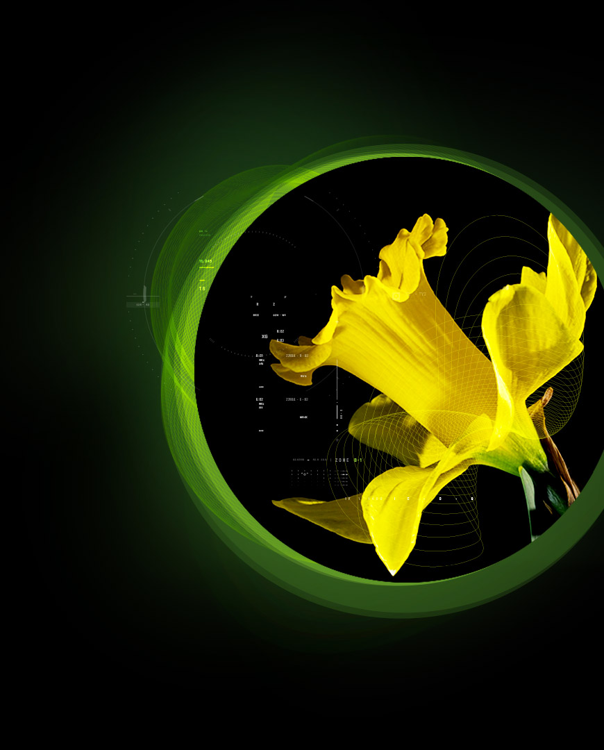 Galanthamine bromidrate