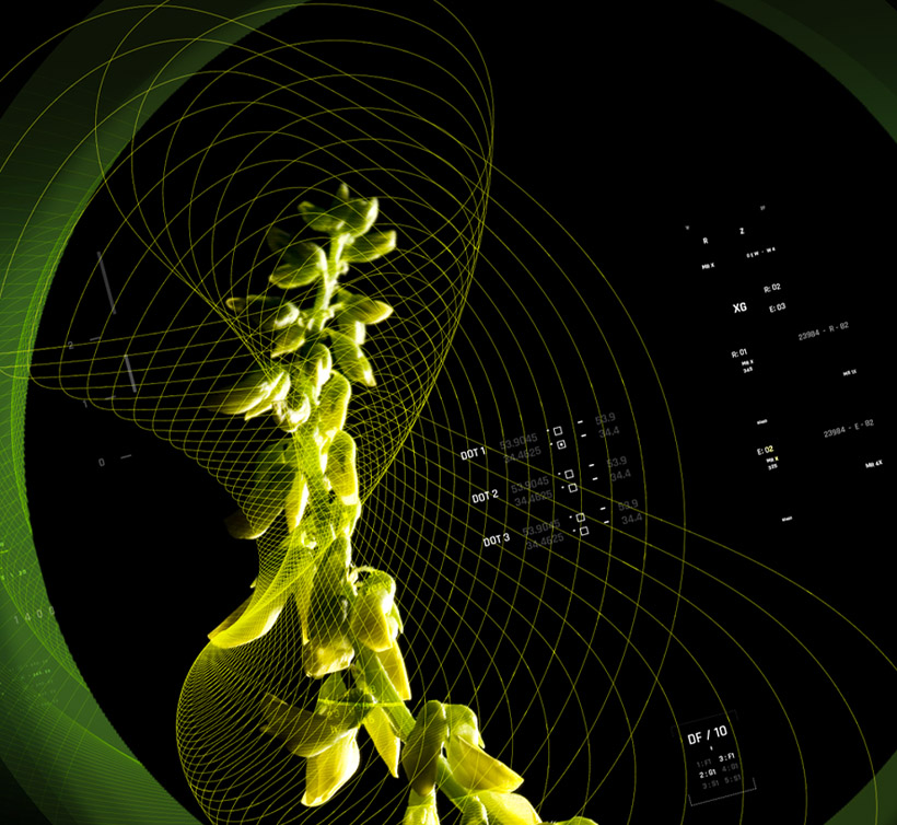 Lymphaselect<sup>®</sup>