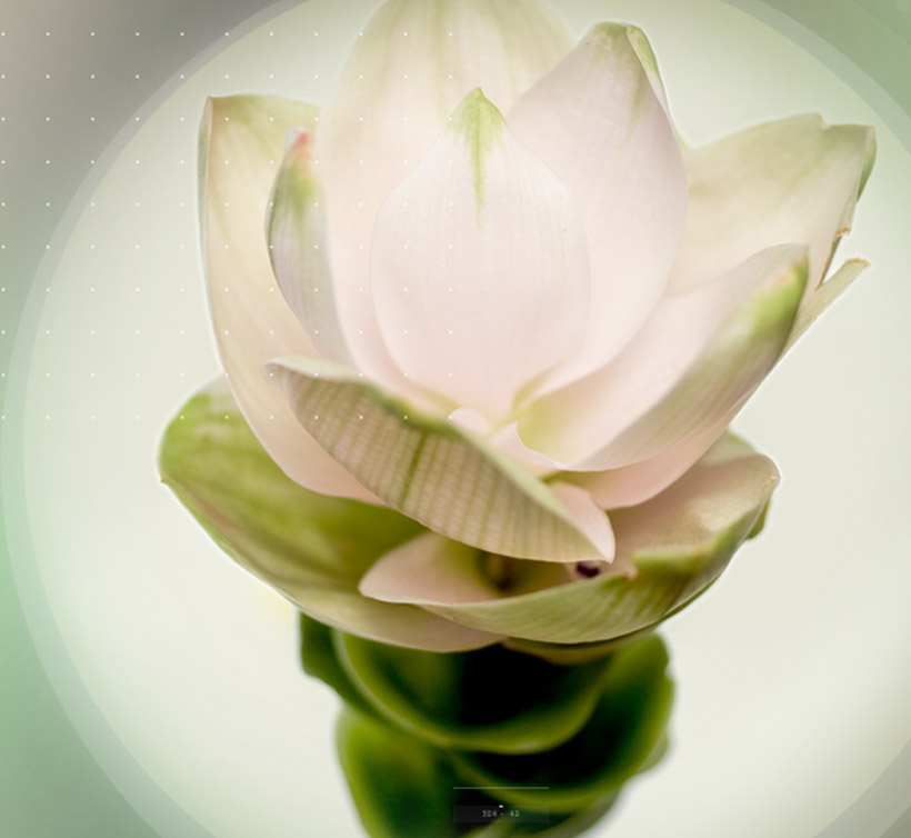 We’ve set the absolute advantage