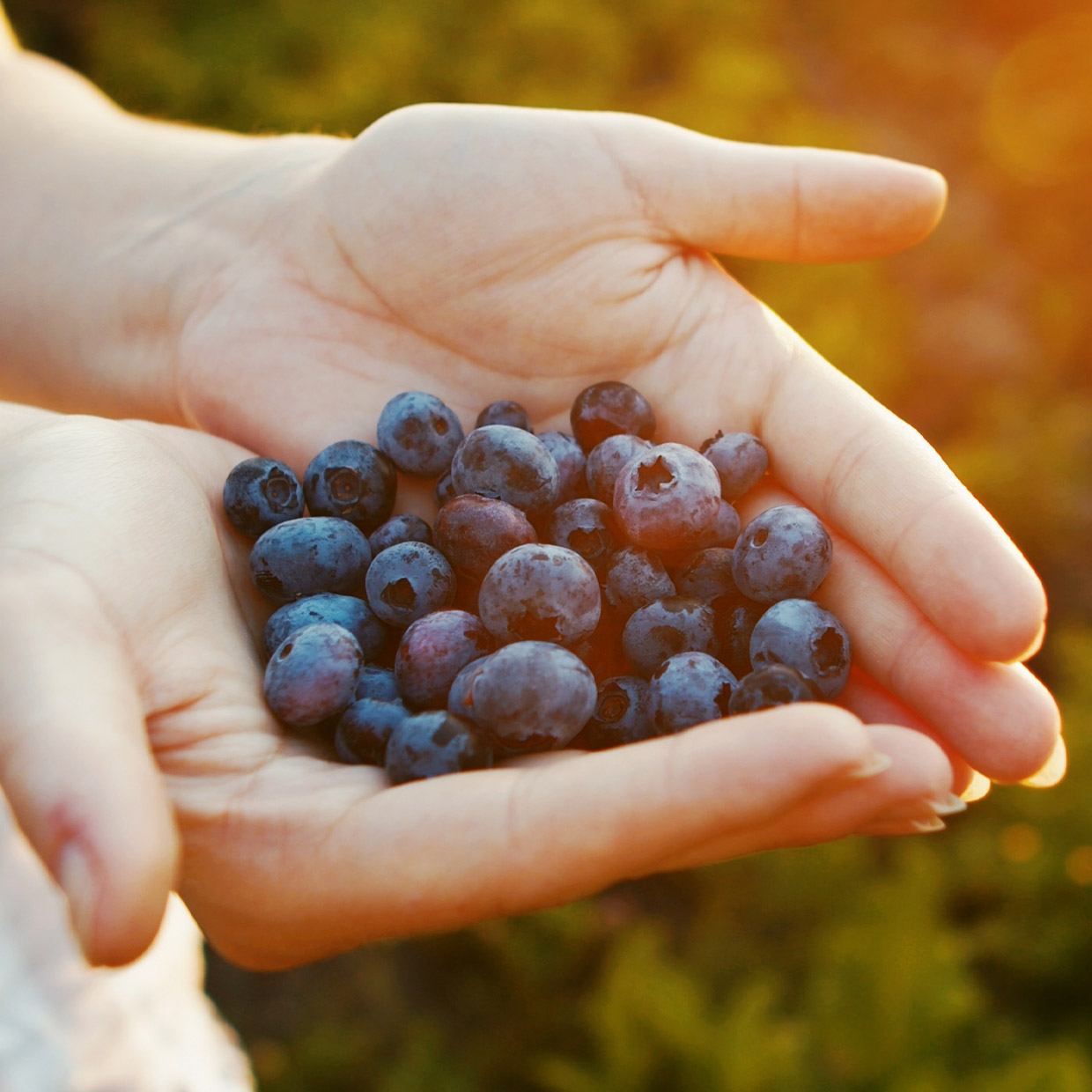 We’ve set the absolute advantage	