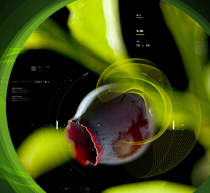 Myrtocyan<sup>®</sup>