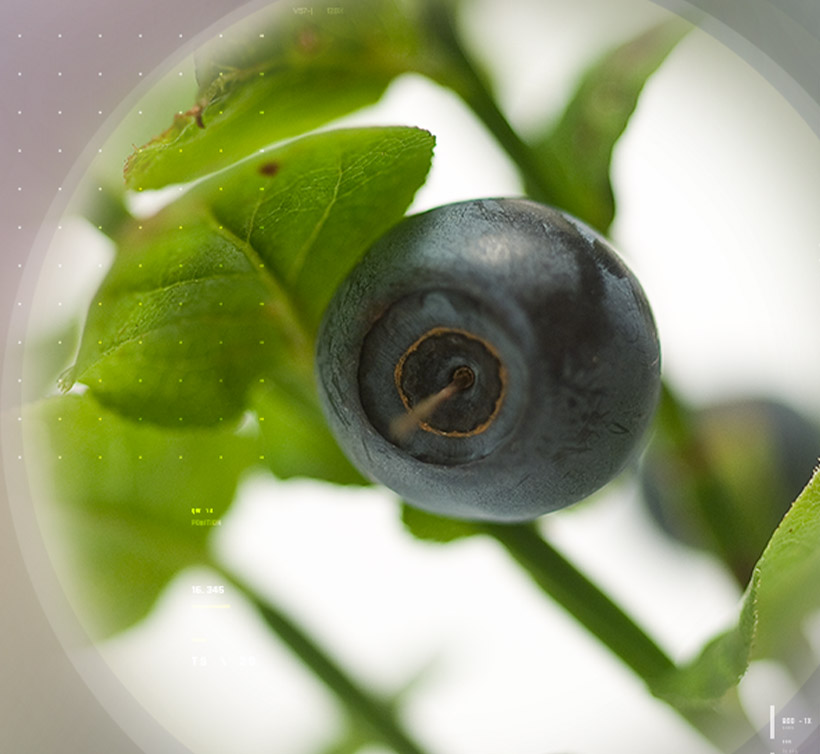 オメガブルー<sup>®</sup>