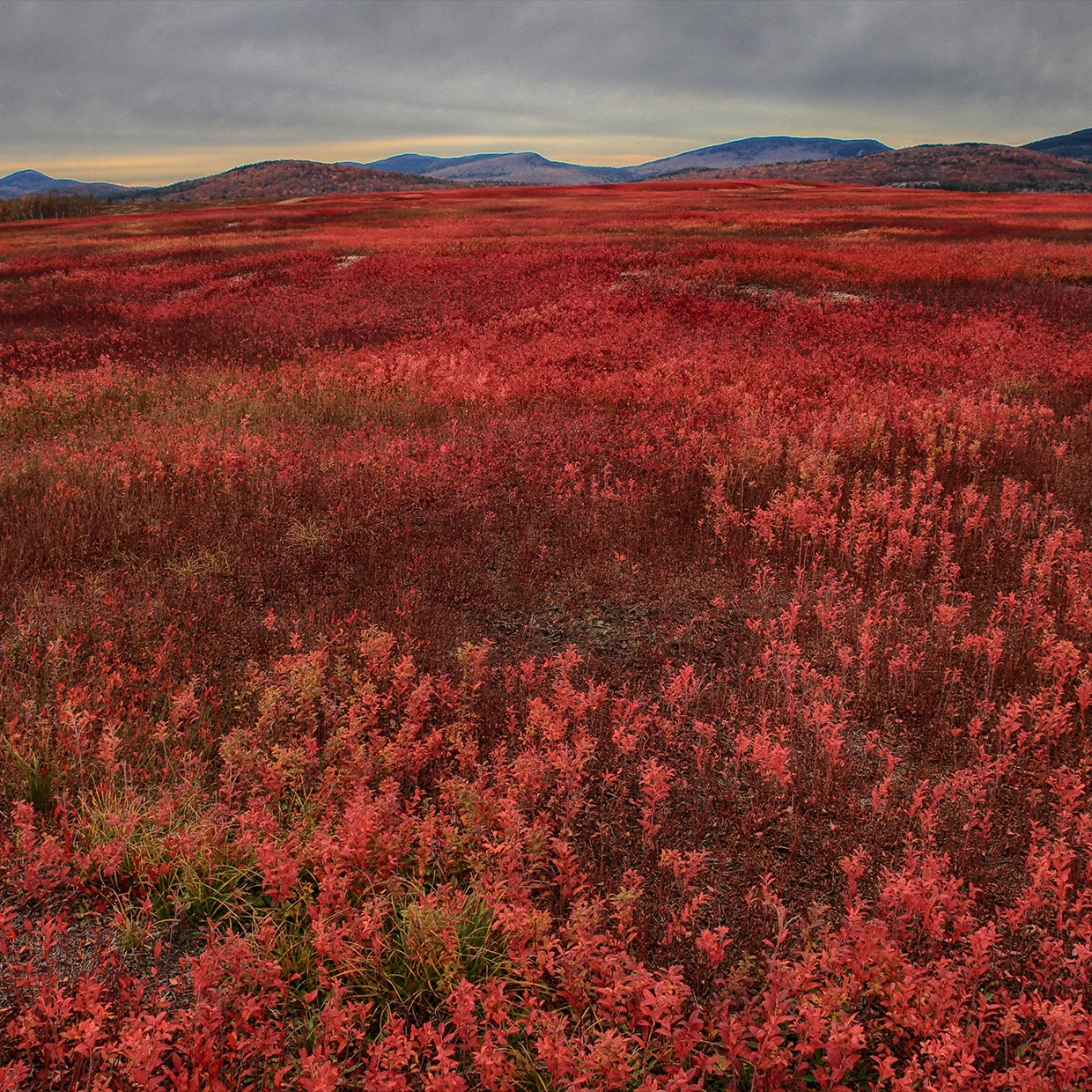 We’ve set the absolute advantage	