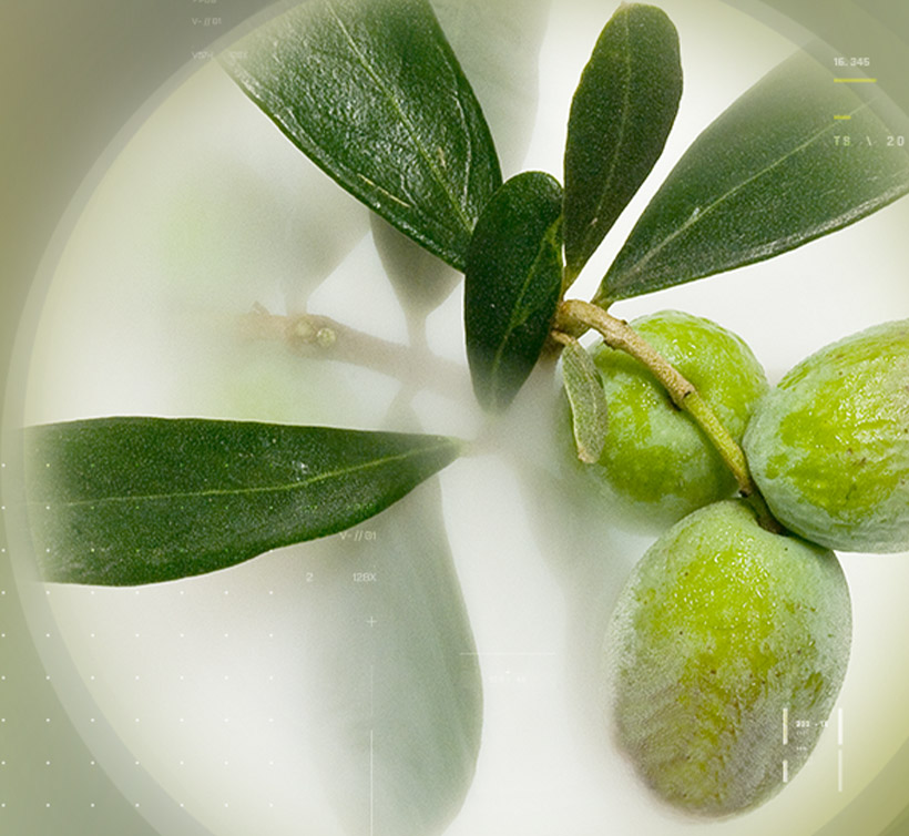 オペキスタン<sup>®</sup>