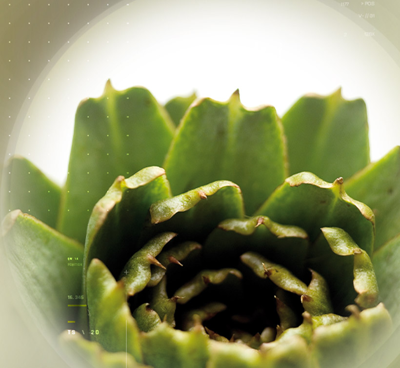 Prodigest<sup>®</sup>