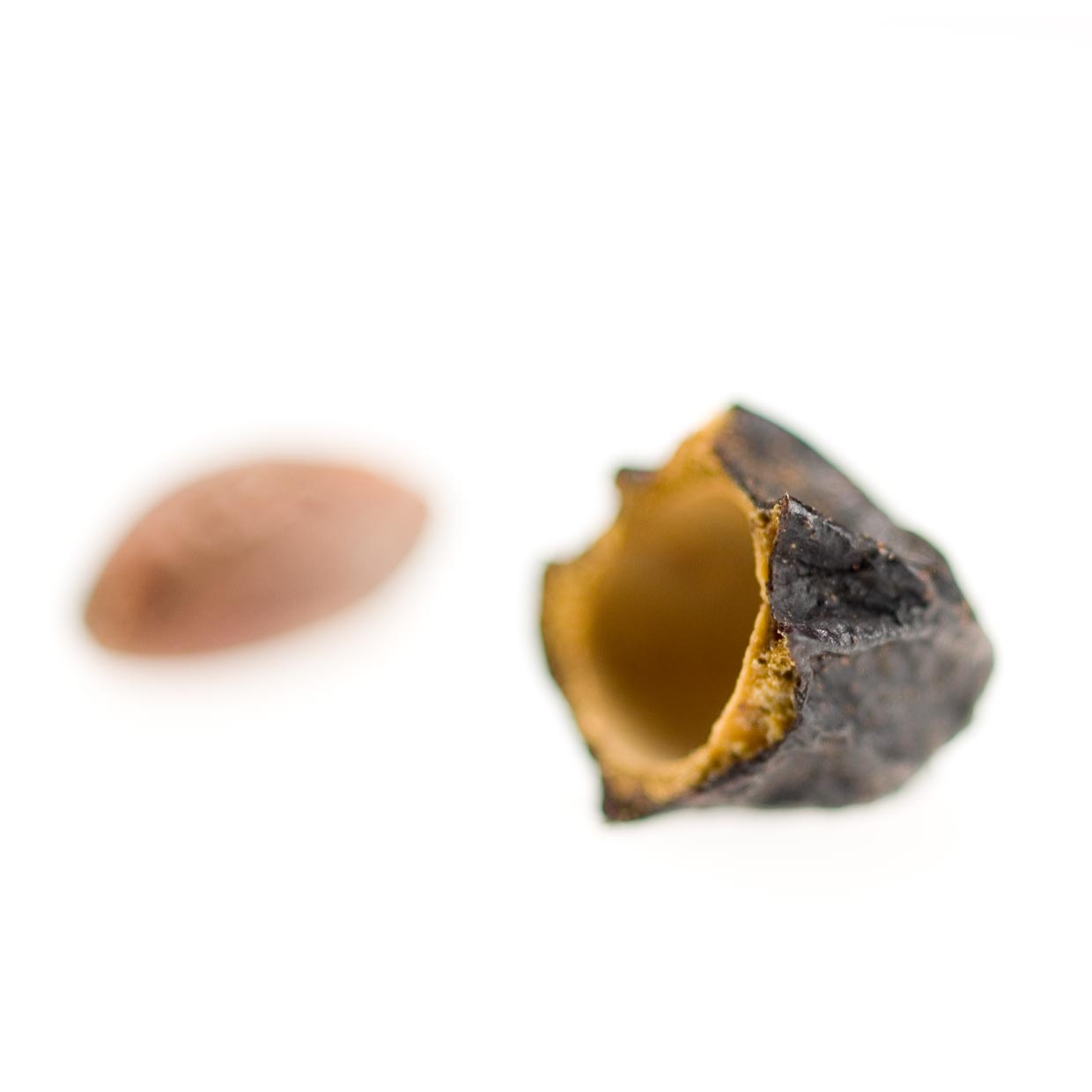 Sabalselect<sup>®</sup> into action