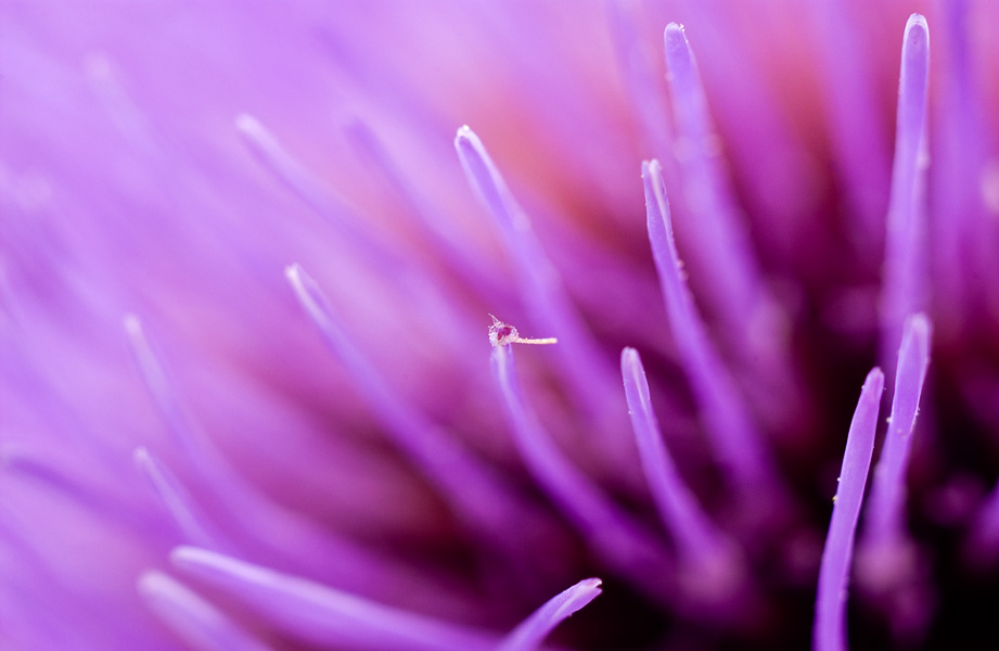 We’ve set the absolute advantage	