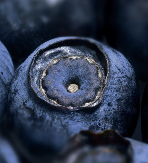 真实性和可追溯性：植物源性产品的质量关键参数