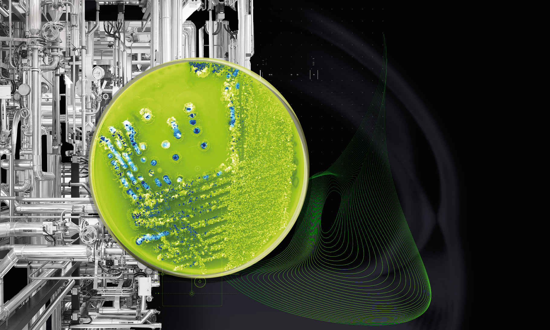 EXPLORE OUR EXTENSIVE CDMO SERVICES