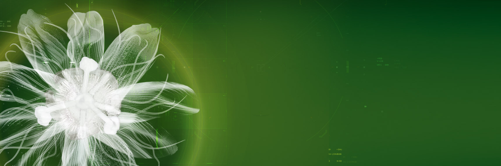 Read about our Quality