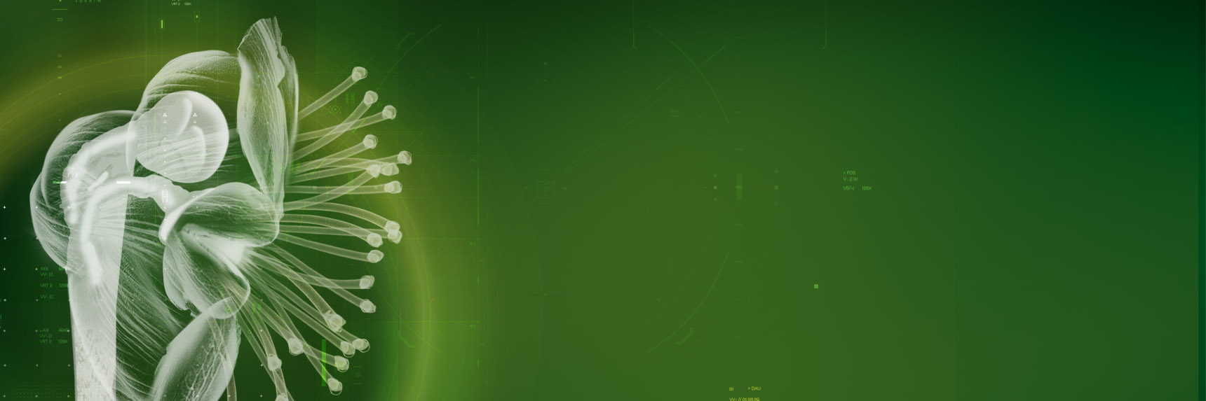 Company values and policies