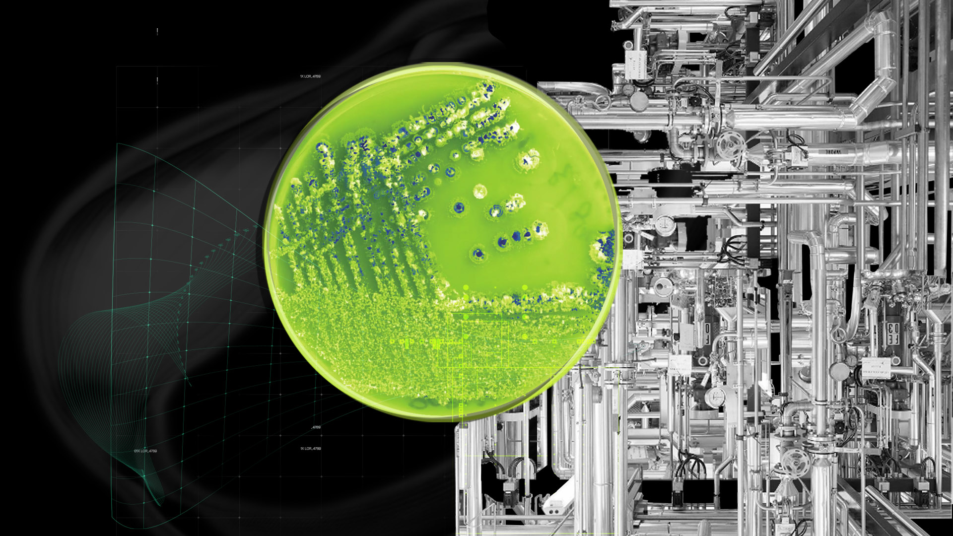 医薬品受託開発サービス