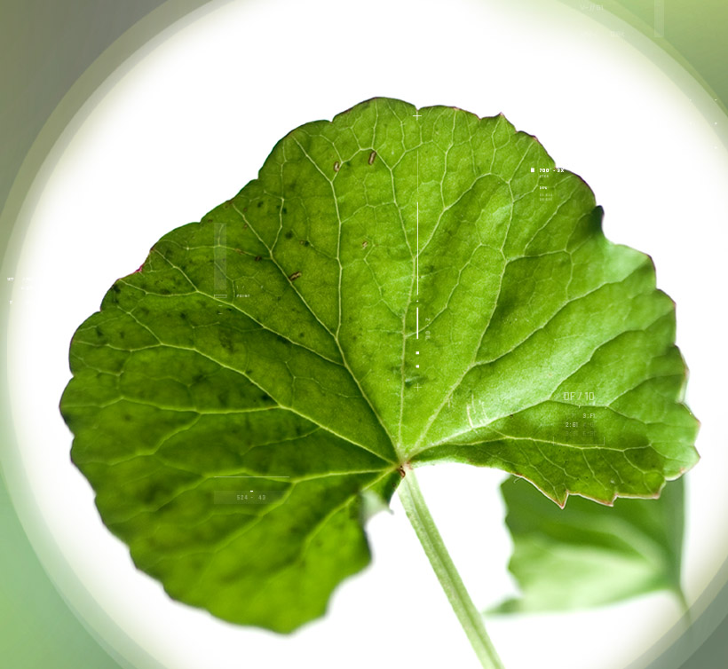 Centevita<sup>®</sup>