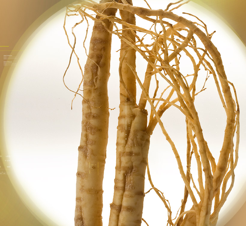 Ginseng 10%