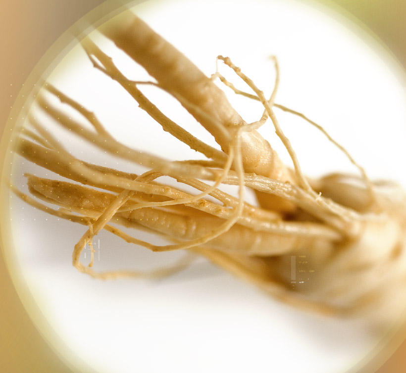 Ginseng 18-22%