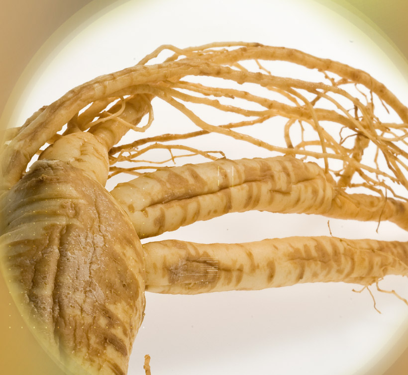 Ginseng 27-30%