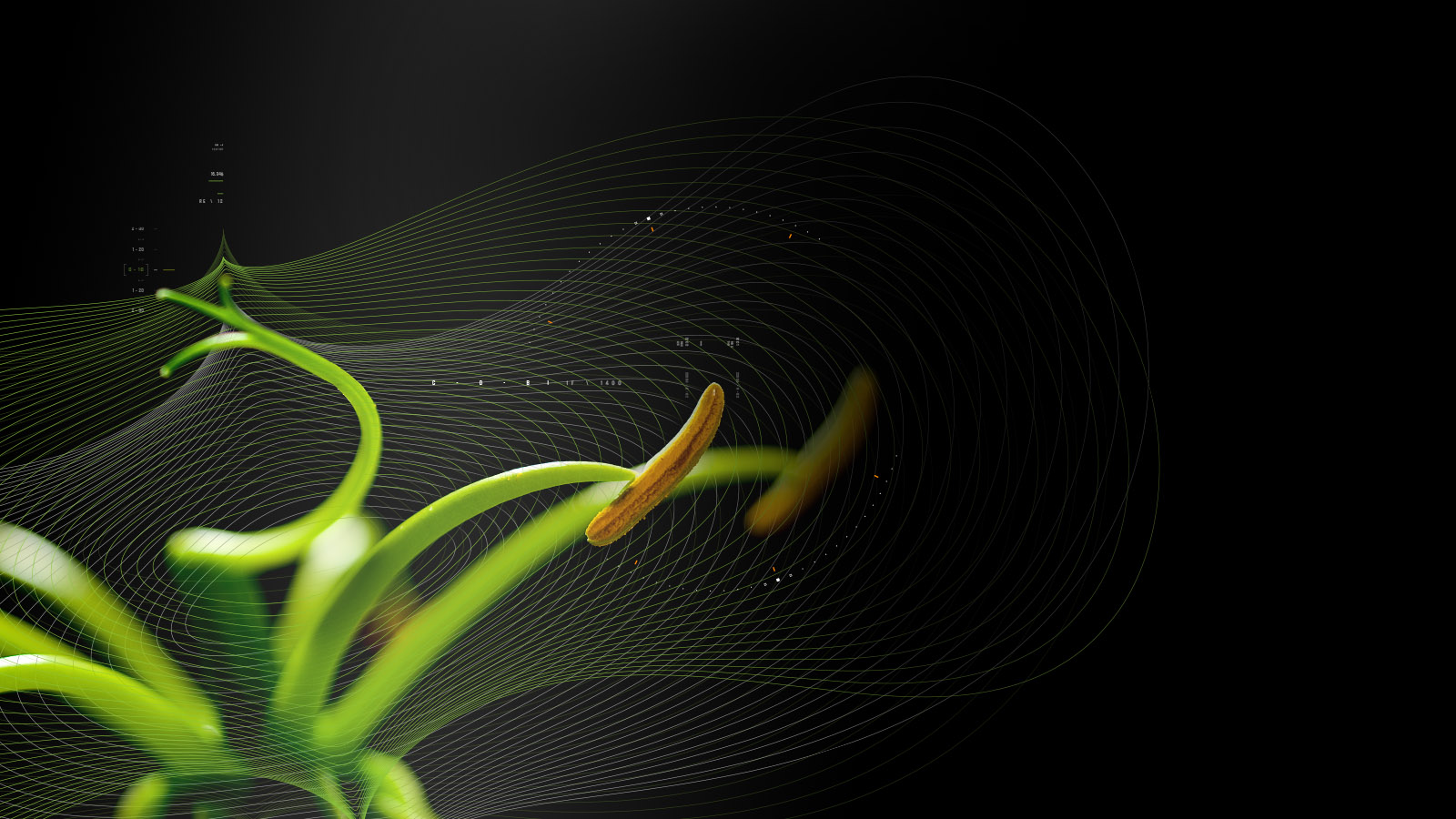 highlights-slider-lg-2