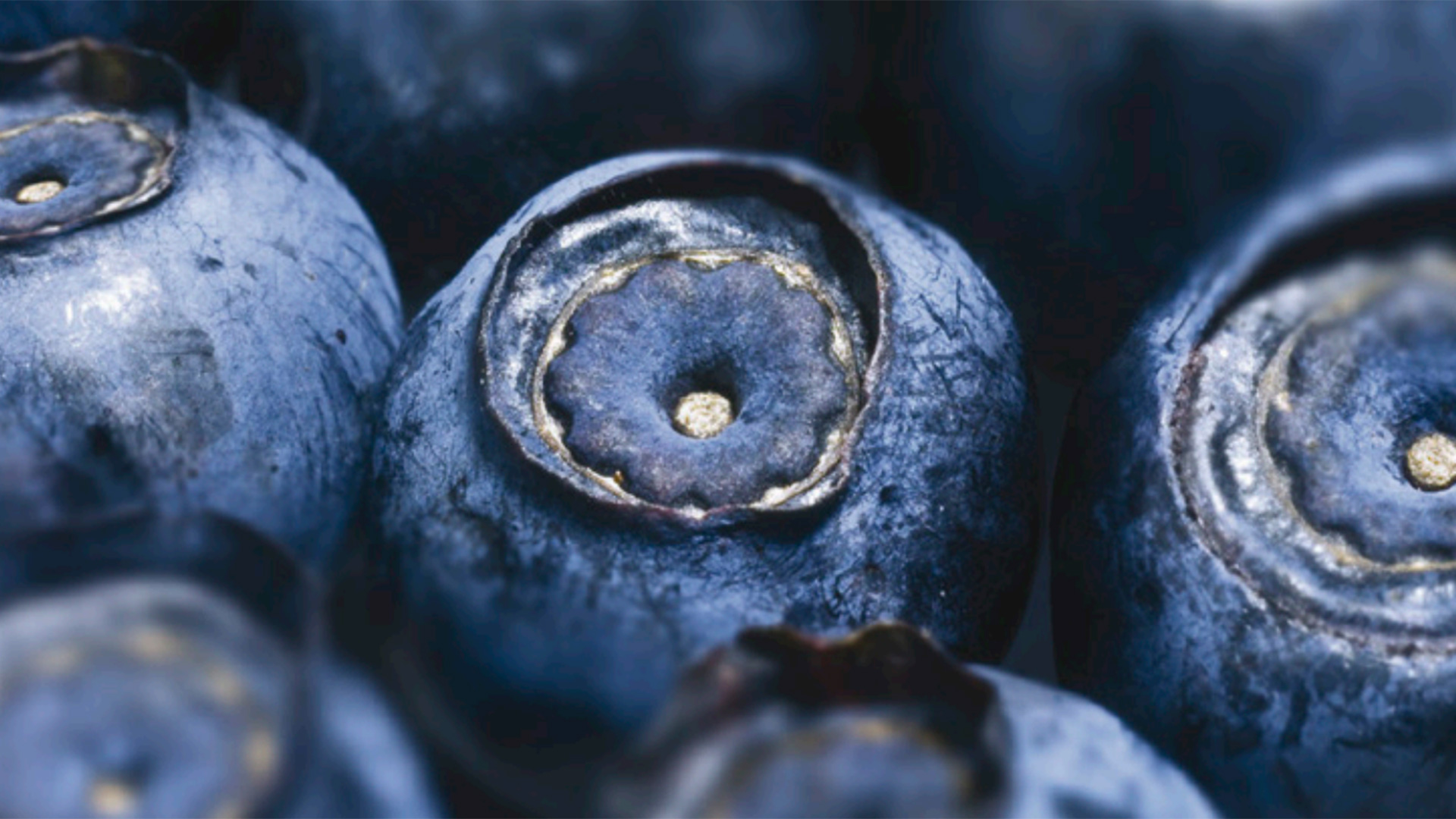 真实性和可追溯性：植物源性产品的质量关键参数