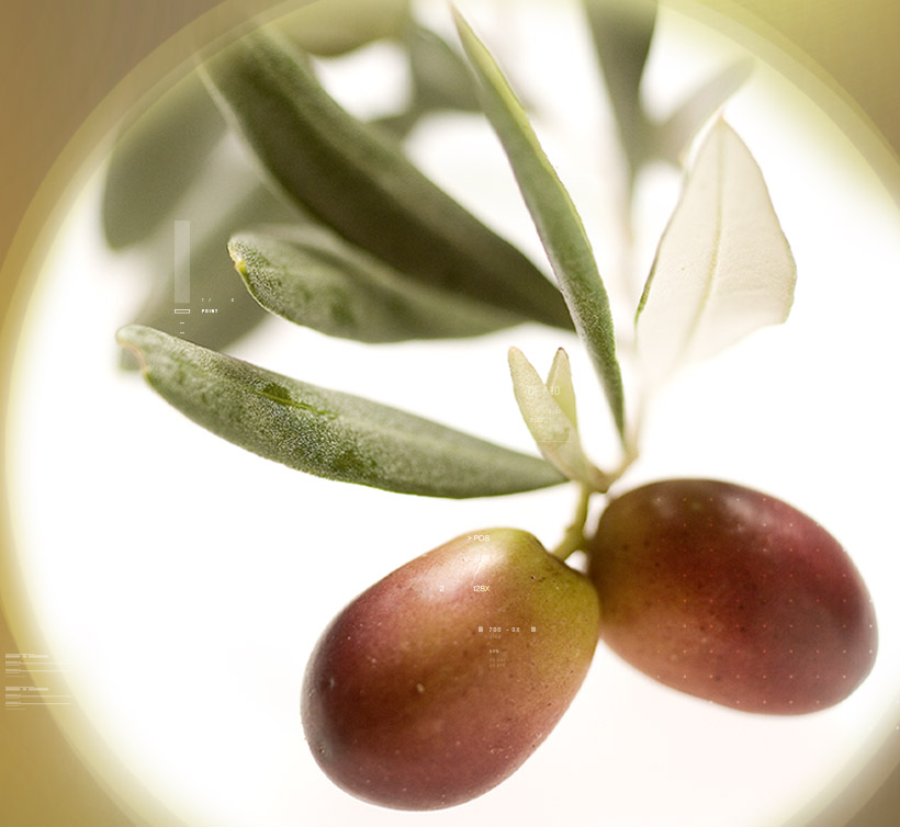 Oleaselect<sup>®</sup>