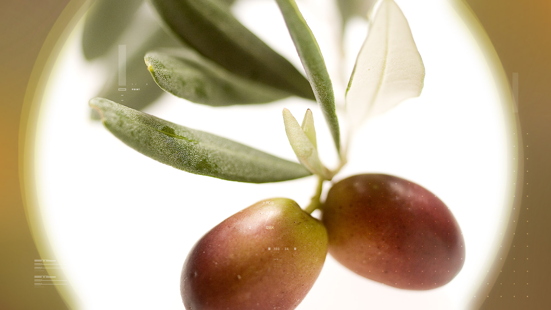 Oleaselect<sup>®</sup>