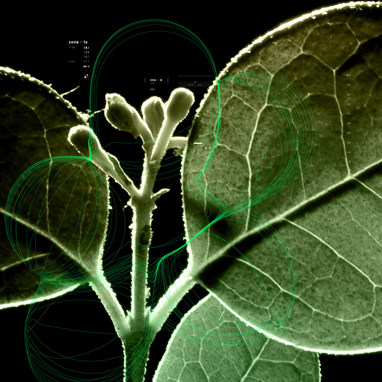 Process Research Unit And A Deeper Concept Of Natural Product