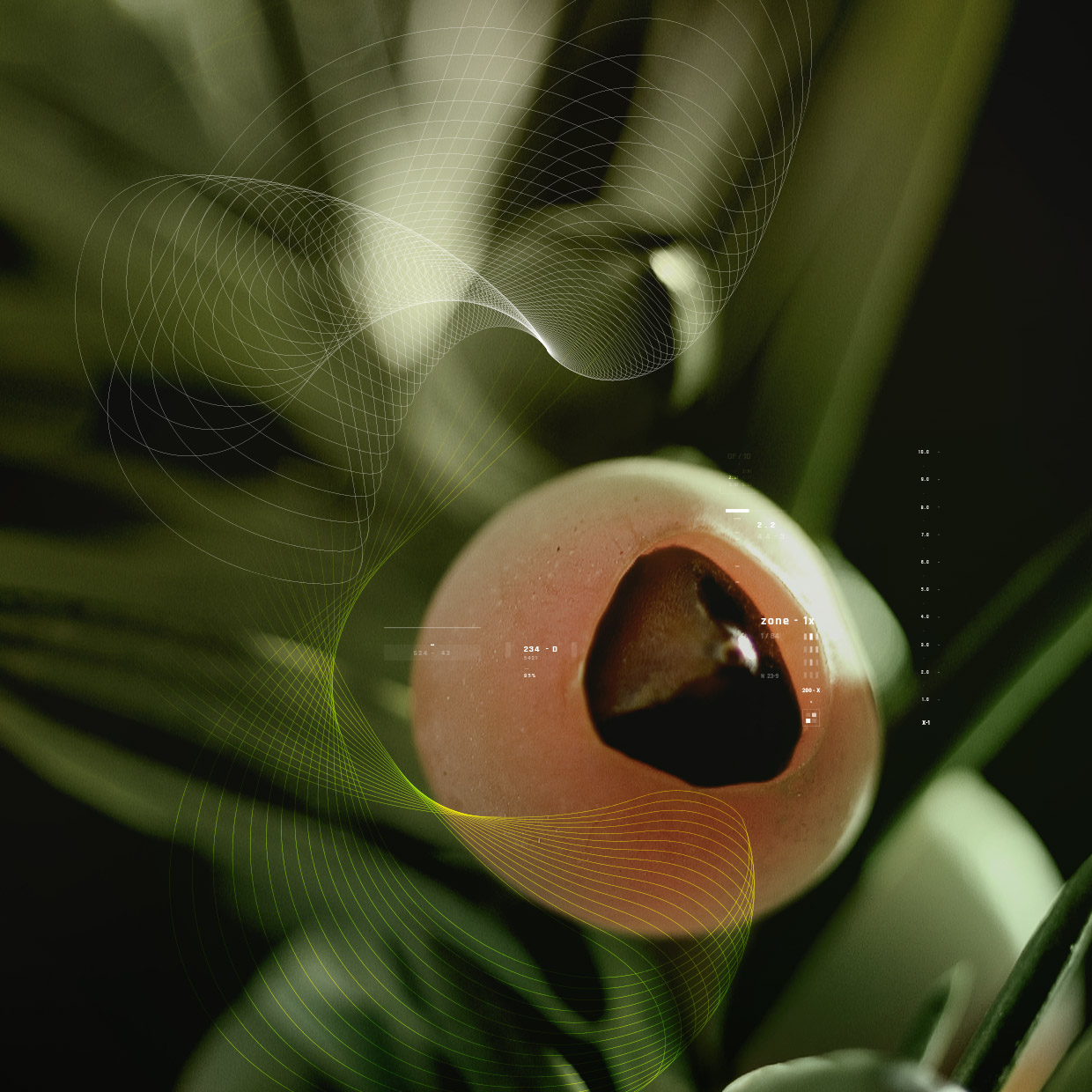 The Anti-Cancer Potential Of Nature