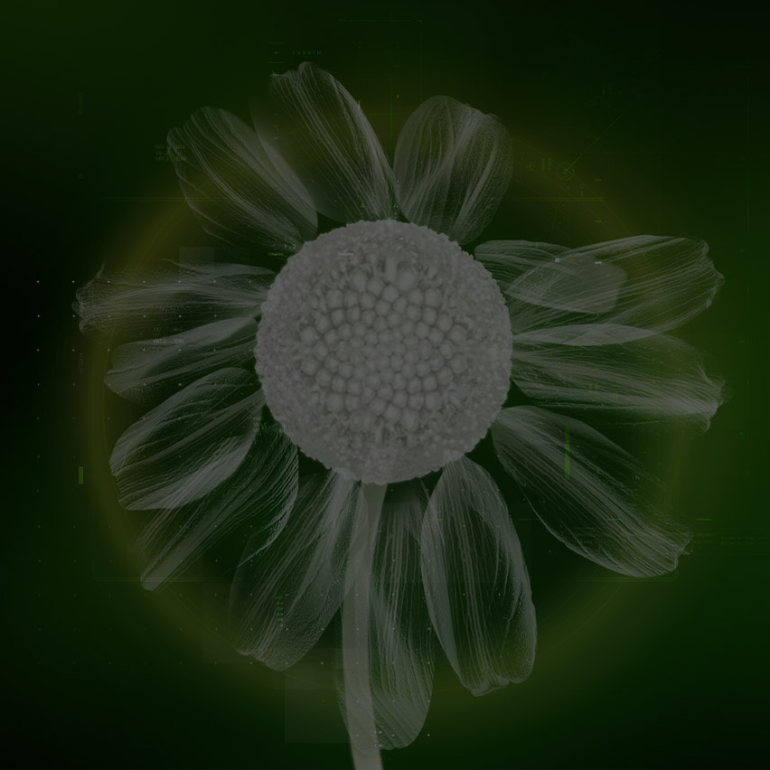 SOCIAL RESPONSIBILITY