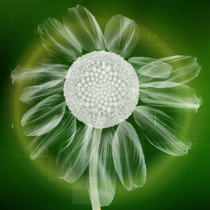 Company values and policies