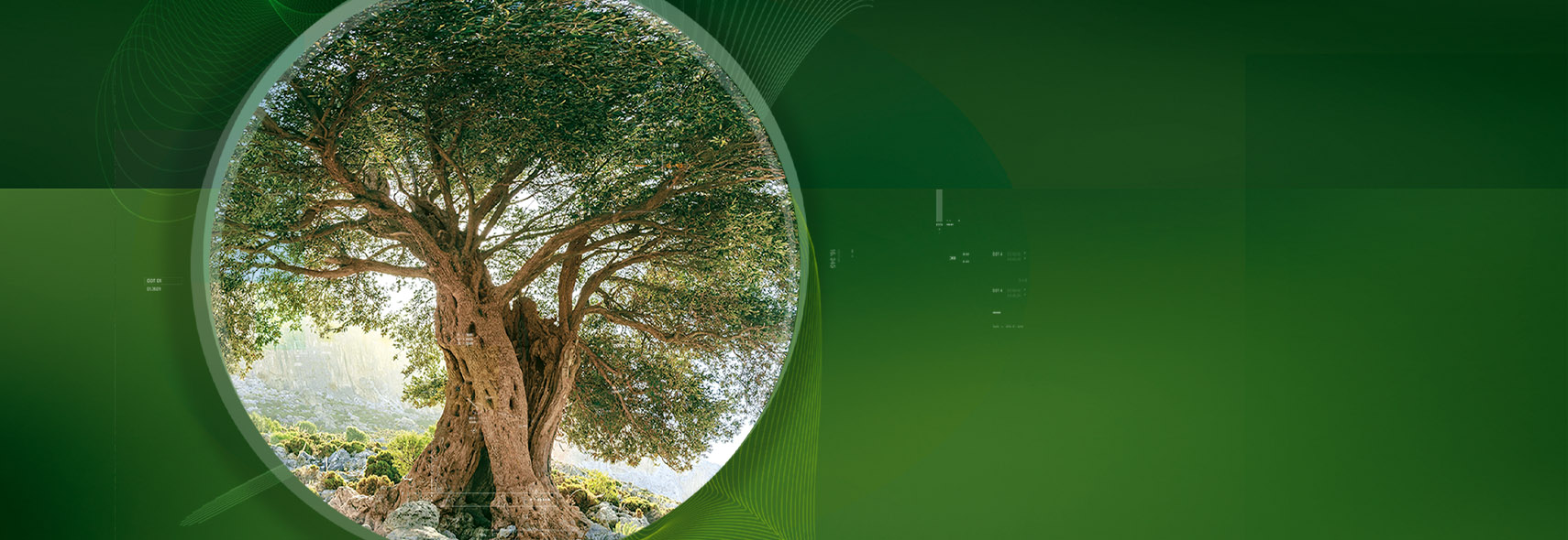 感受自然、技术和人的完美融合