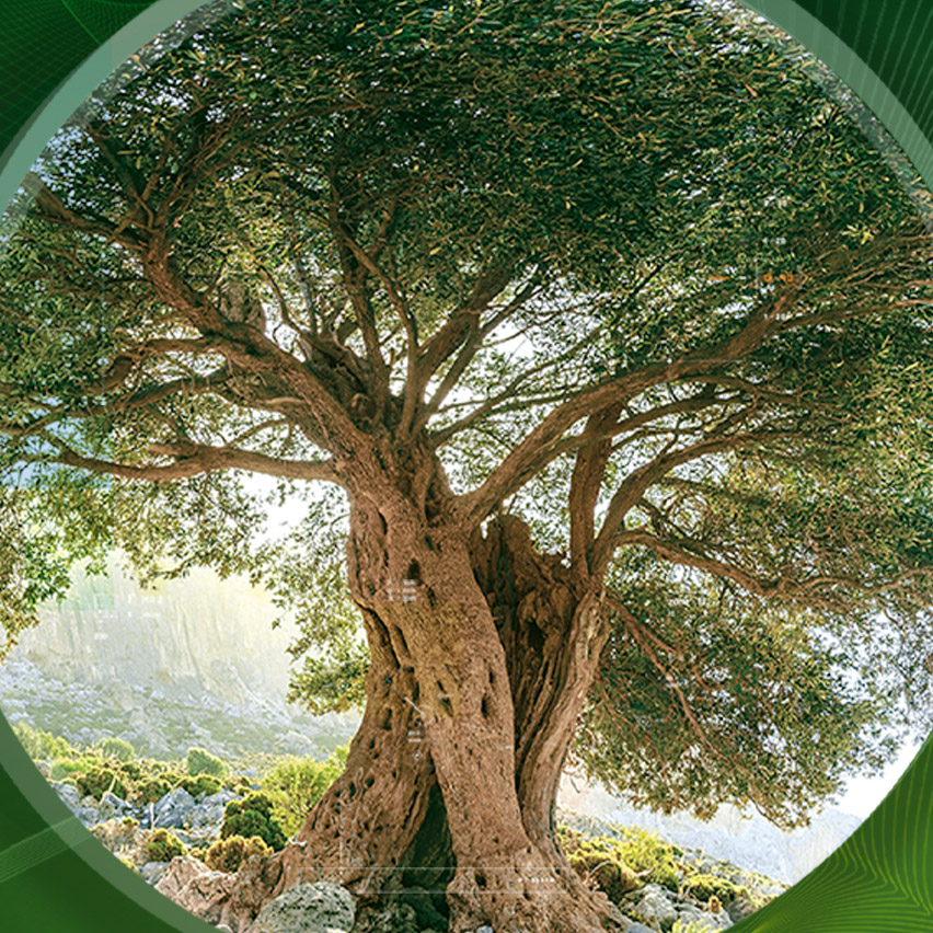 DISCOVER WHERE NATURE, TECHNOLOGY AND PEOPLE MERGE