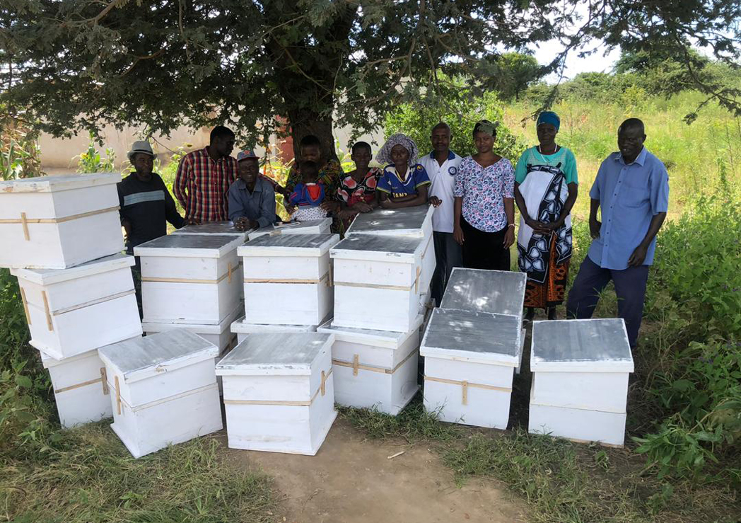 Beekeeping-Activities-3