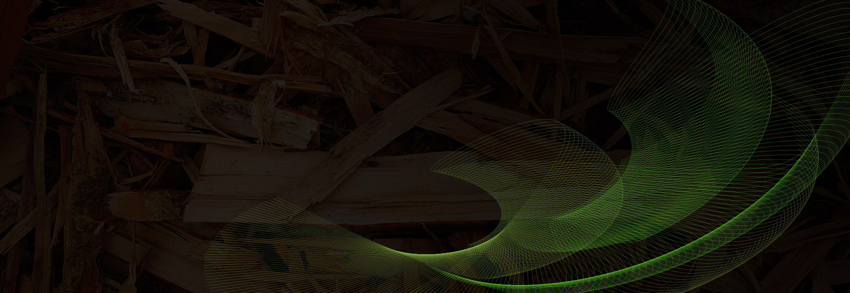 Finding ways to recover value from biomasses-banner-lg