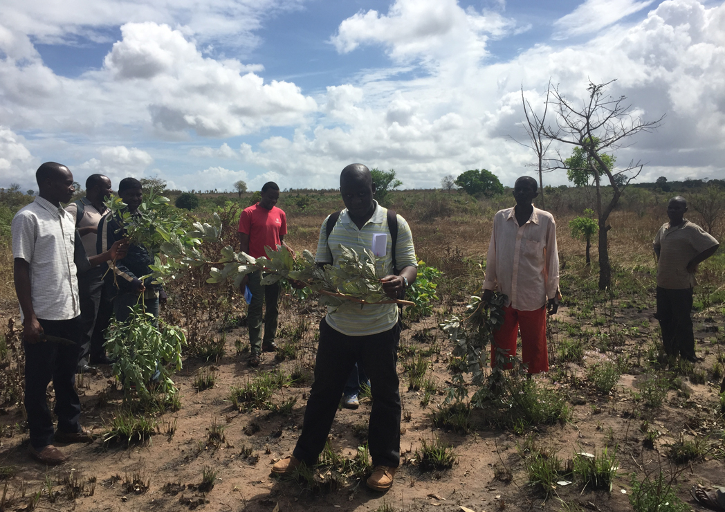 Maili-Kumi-Korogawe-A-moment-in-a-forest-school