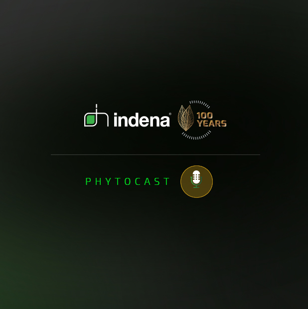 DIVE INTO OUR JOURNEY THROUGH TIME