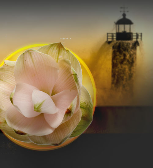 Meriva<sup>®</sup> ADV