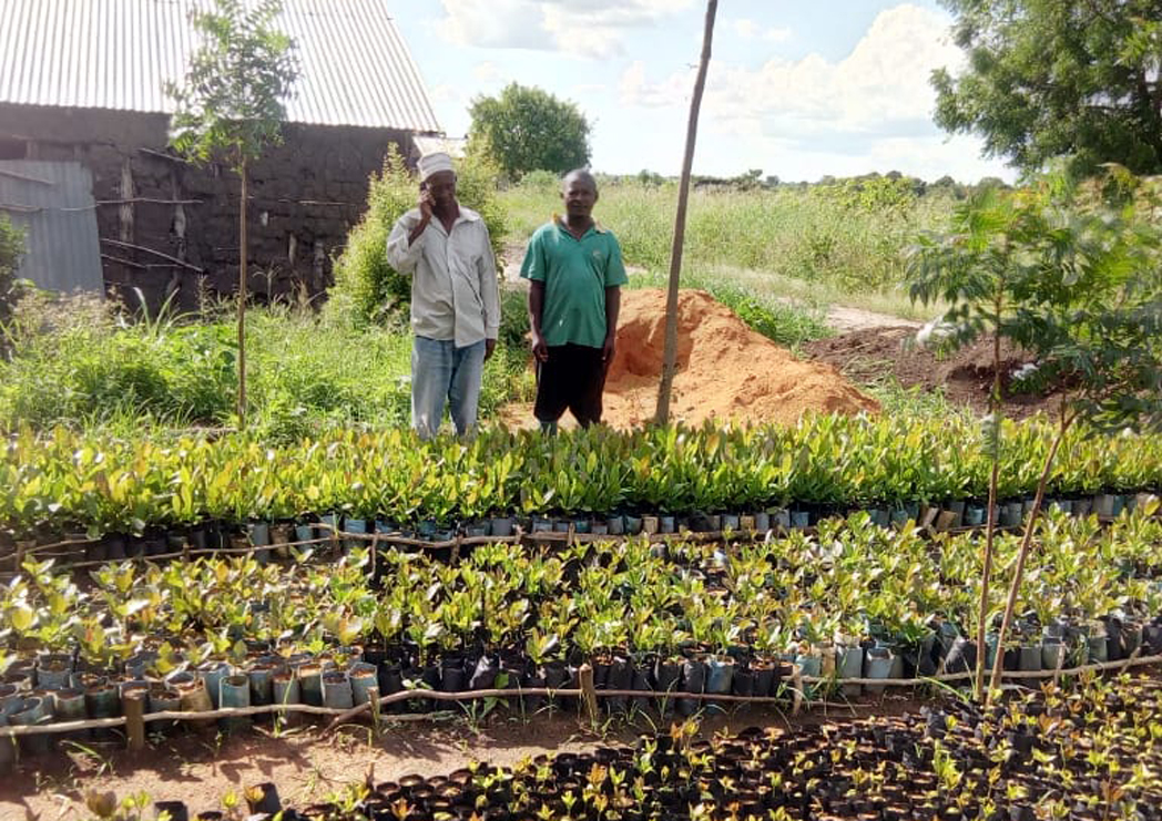 project-school-graden-and-plants-nursery