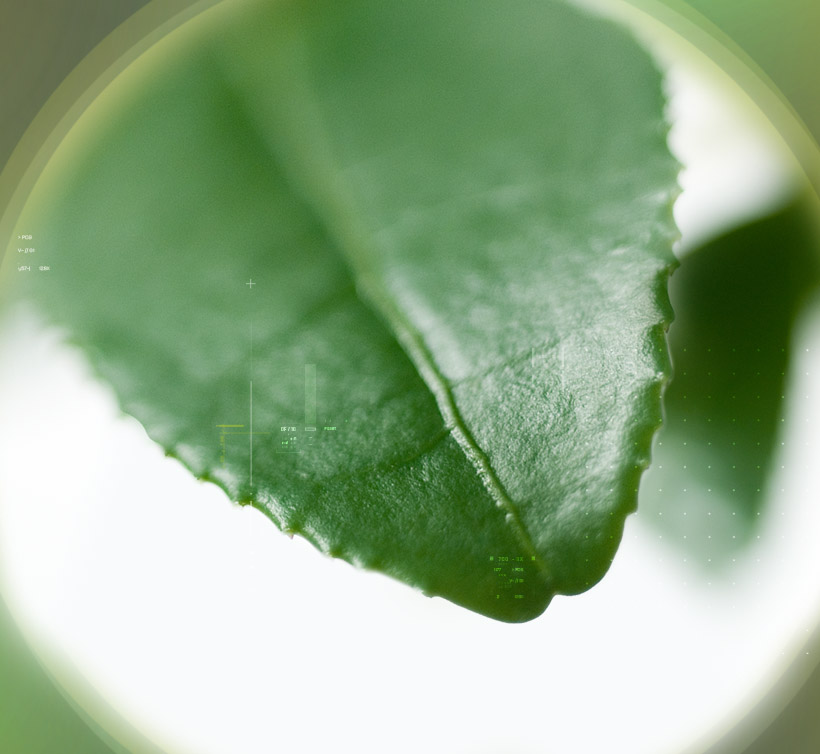 Greenselect<sup>®</sup>