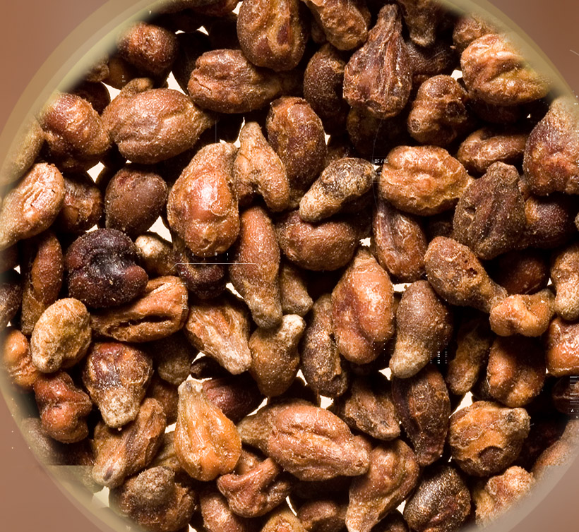 Leucoselect<sup>®</sup>