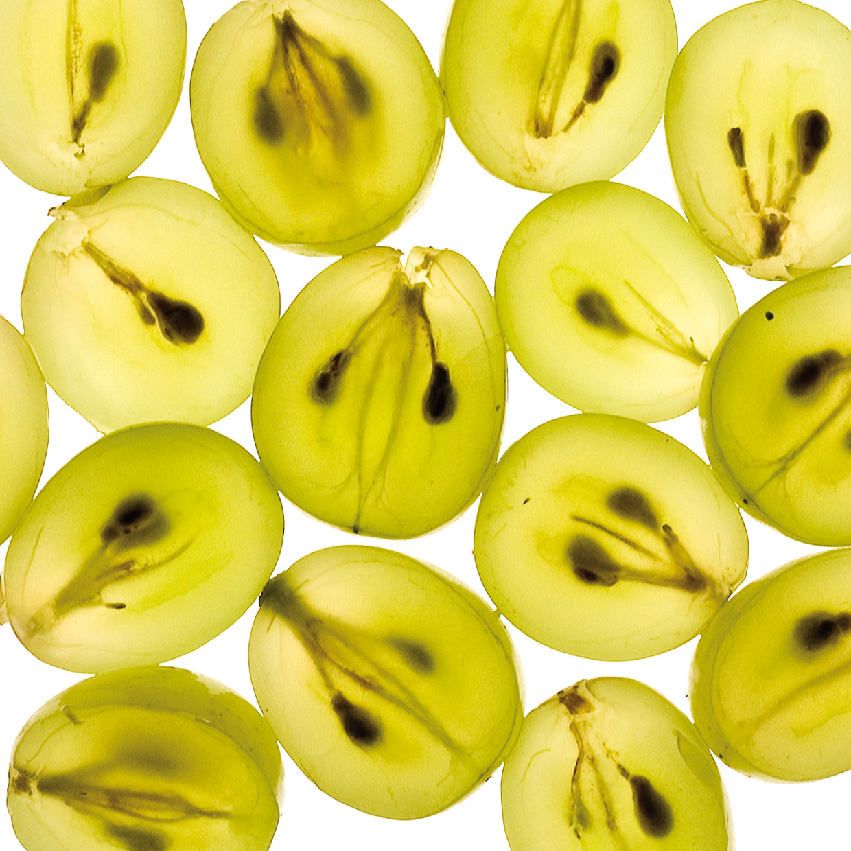 Enovita<sup>®</sup> Organic into action 