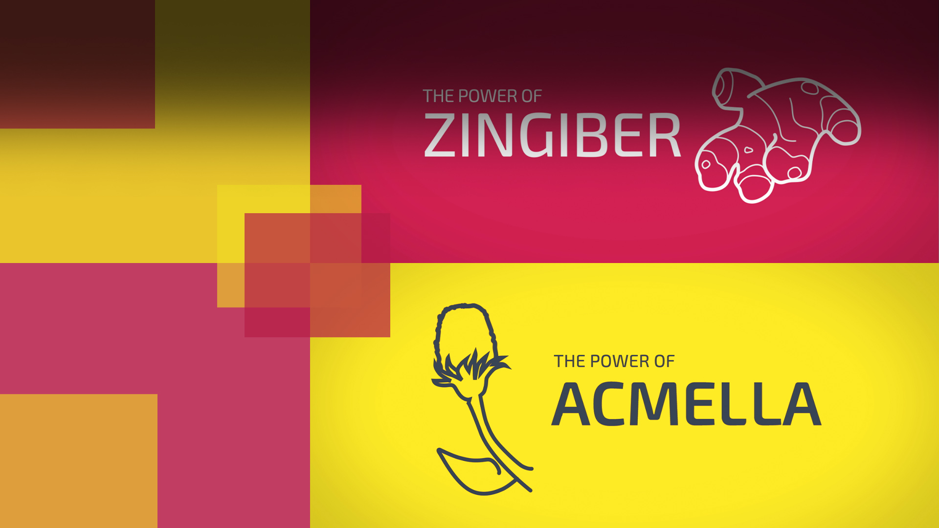 Mitidol<sup>&reg;</sup><br /><strong><em>Joining forces to help ease aches</em></strong>