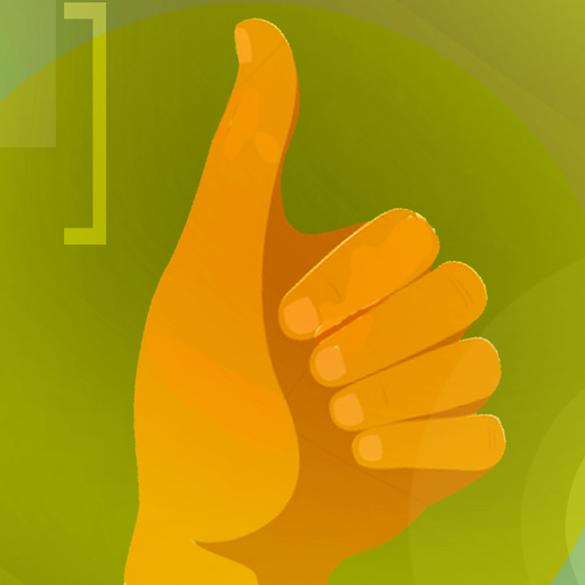 Vazguard<sup>&reg;</sup><br /><strong><em>The shield against visceral fat</em></strong>