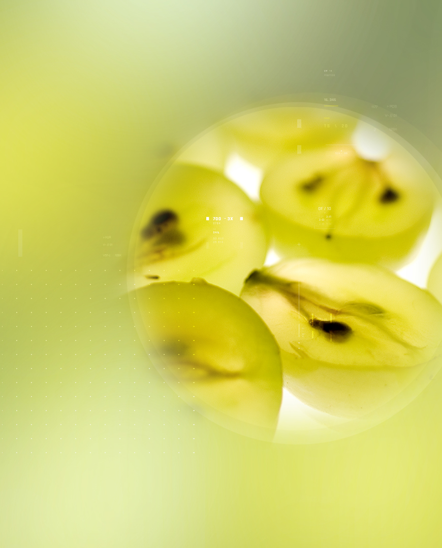 Enovita<sup><sup>®</sup></sup> Organic