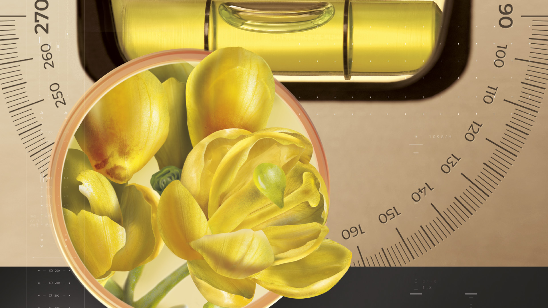 Berbevis<sup>®</sup>