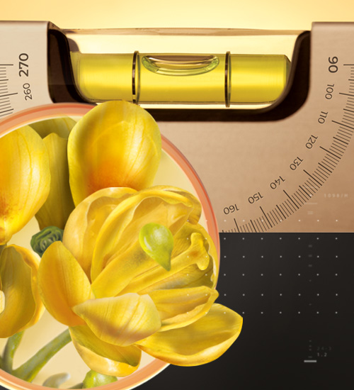 Berbevis<sup><sup>®</sup></sup> ADV